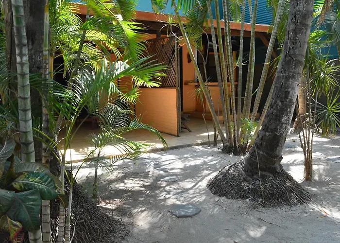 Pensión La Palapa 3*