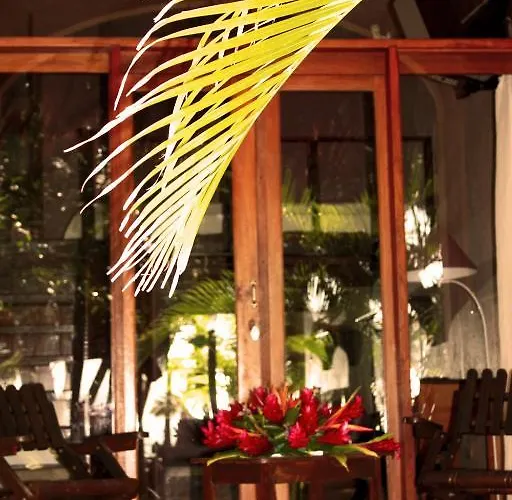 La Palapa Pensión Tamarindo