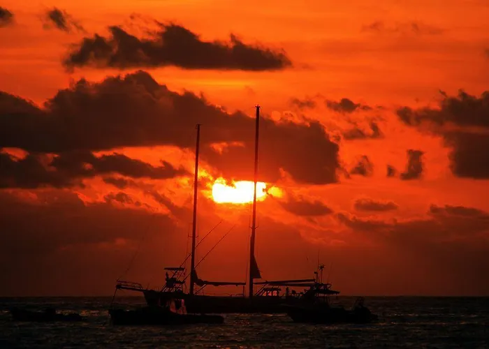 La Palapa 3*