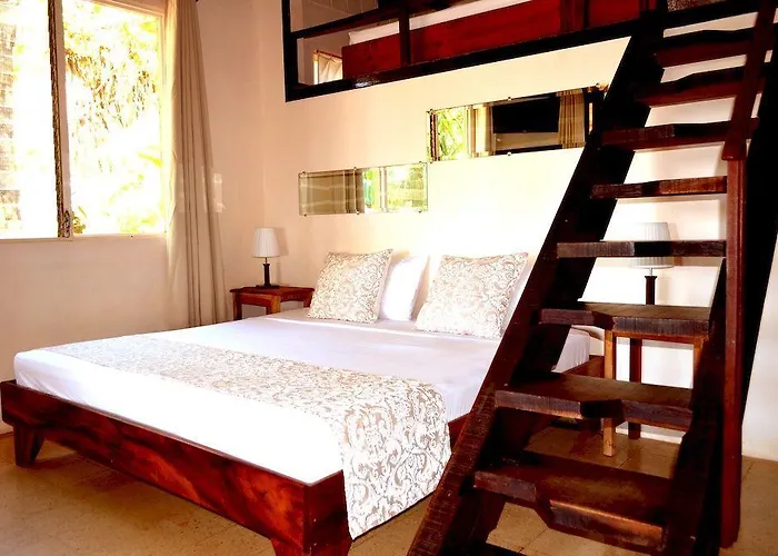 La Palapa Pensión 3*