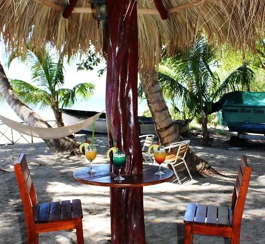 La Palapa 3*